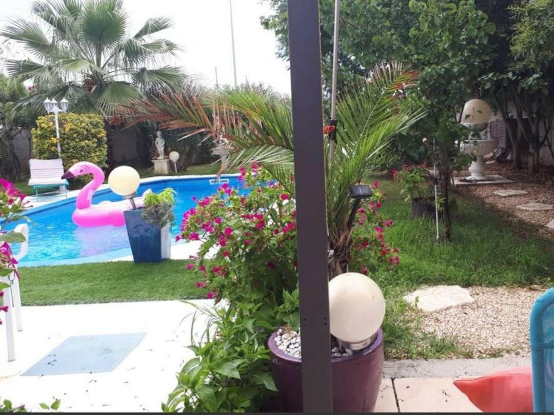 Suite-Junior -Villa Helene - Montpellier Sud - Aeroport- Piscine Privee-2Mn Des Plages Pérols Cameră foto